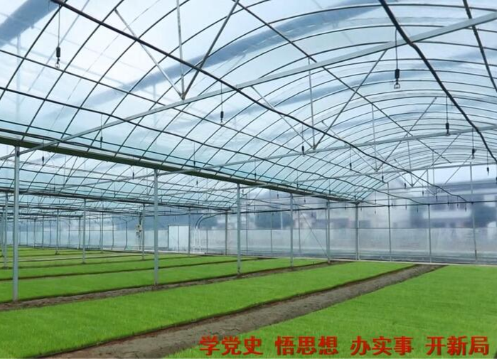 鼎城：加大财政补贴力度  提振农民种粮信心