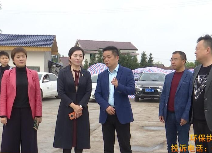 杨成英来鼎城督导突出生态环境问题整改工作