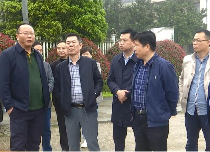 市政协领导来鼎城调研饮用水水源地保护工作