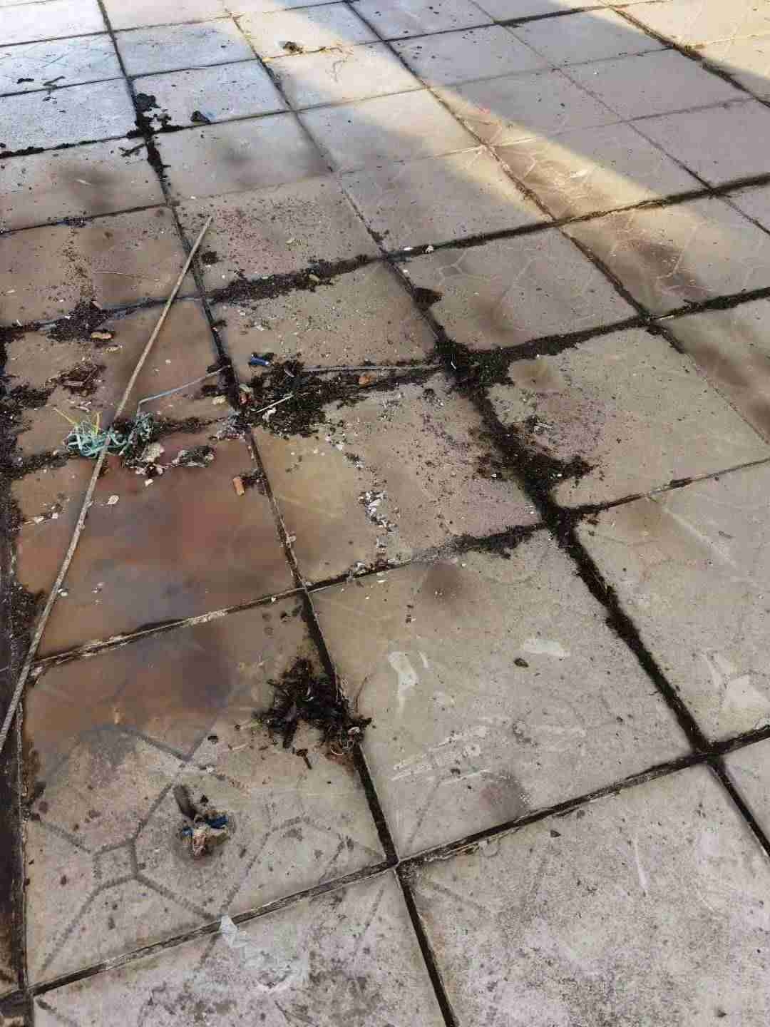 请区住保中心的同志来江山如画督导物业工作！