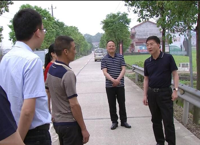 朱金平到花岩溪镇调研指导粮食生产及防汛备汛工作