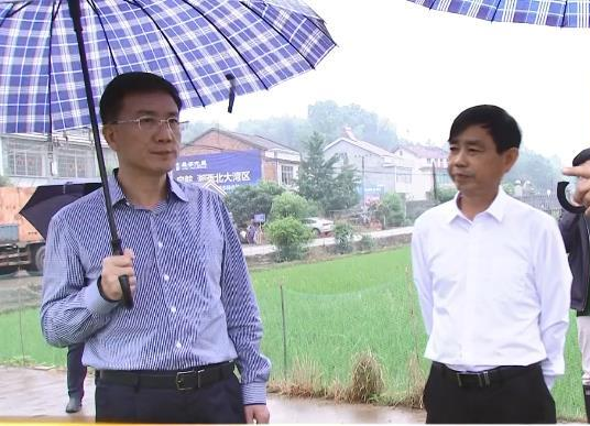 朱金平到双桥坪镇督导粮食生产和人居环境整治工作