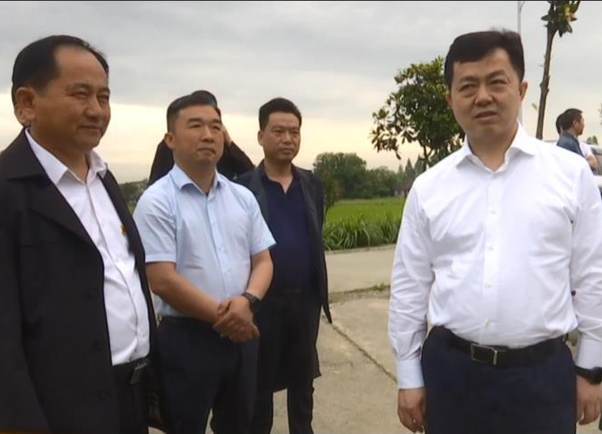 刘国龙调研韩公渡镇走马岗村产业和基础设施情况