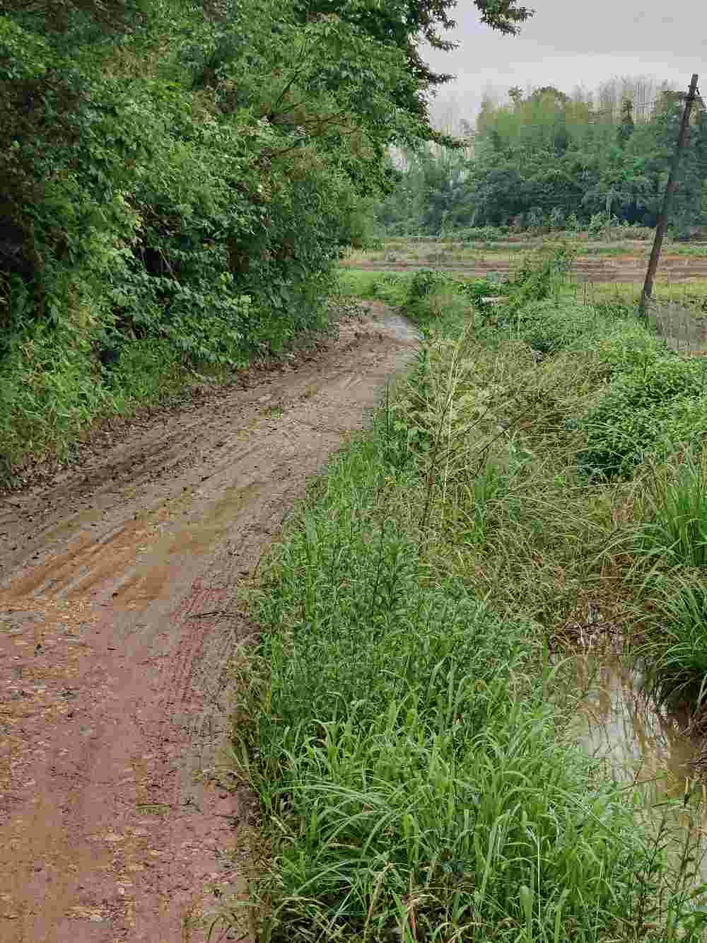 关于乡村道路的硬化建议问题