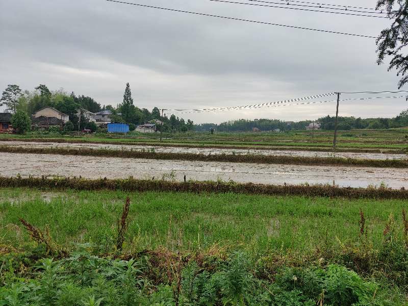 关于乡村道路的硬化建议问题