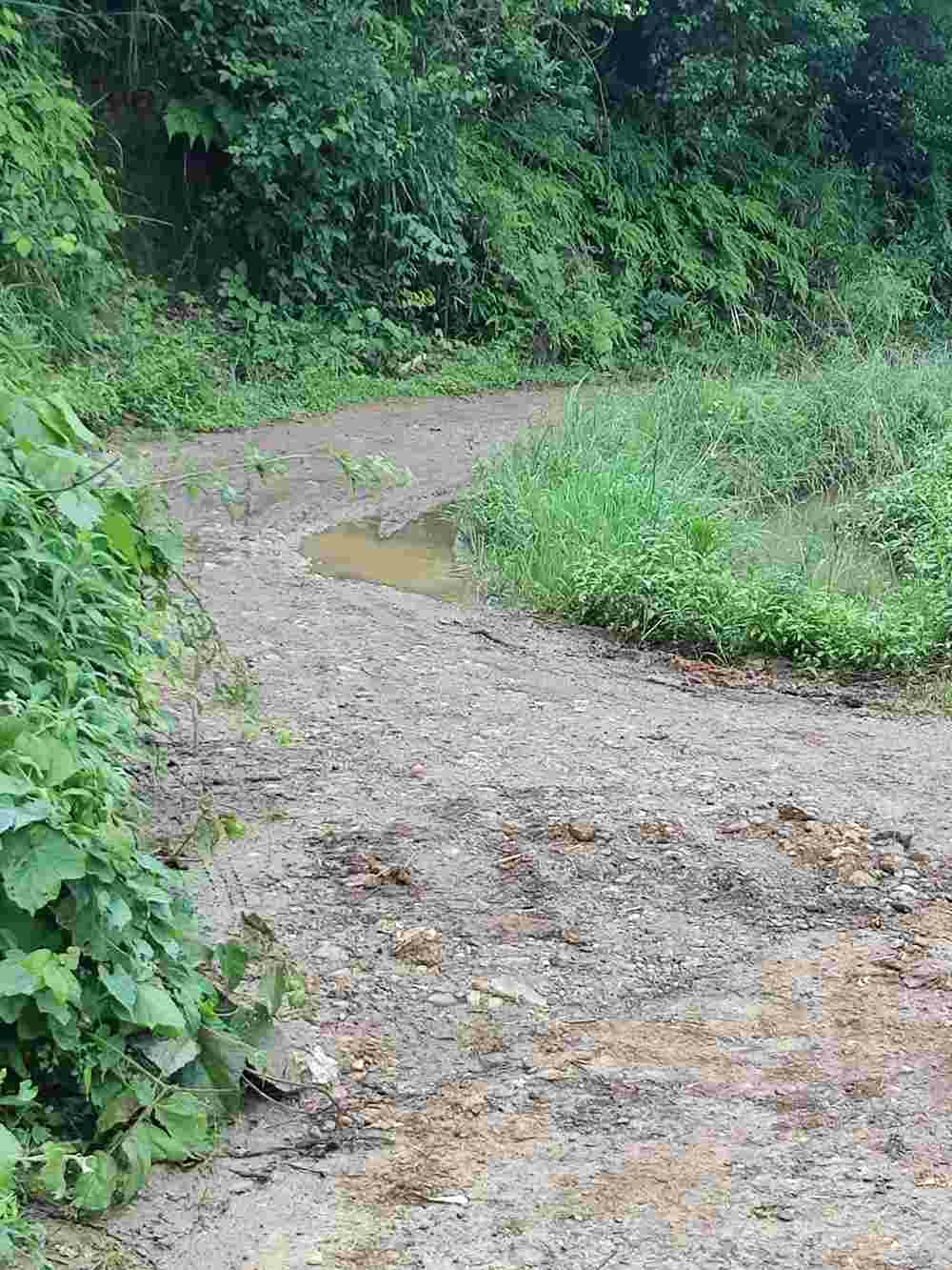 关于乡村道路的硬化建议问题