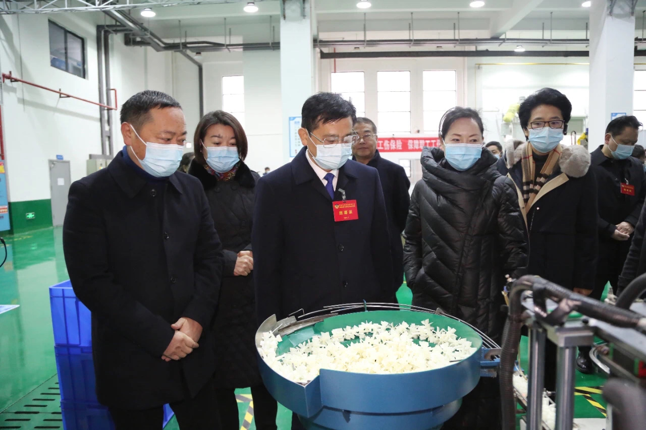 聚焦两会：市人大代表和政协委员视察重点项目