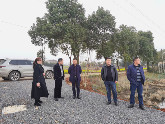杨成到石公桥镇督导粮食生产工作