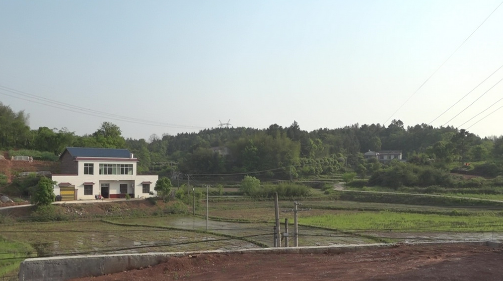 树枫村：绘就绿美画卷 建设美丽乡村