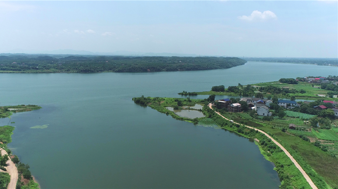 萱洲国家湿地公园：退耕还湿护生态 旖旎风光满生机