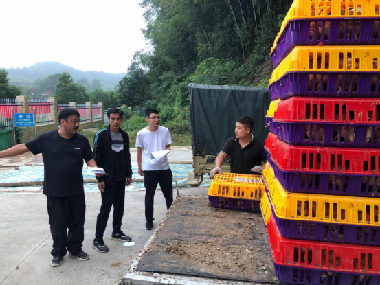 岭坡乡23户贫困户领到了“造血鸡”