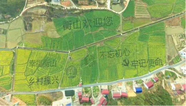 藏粮于地！湖南高标准农田建设的“衡山探索”