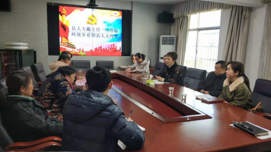 戴立华调研指导岭坡乡人大工作