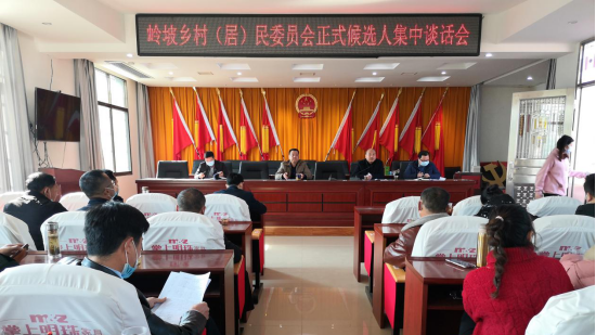 岭坡乡召开村（居）委员会正式候选人集中谈话会