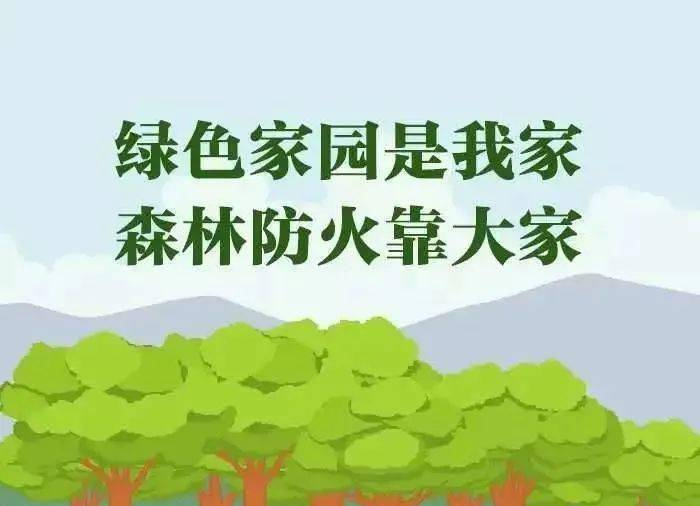 我县督查森林防火工作