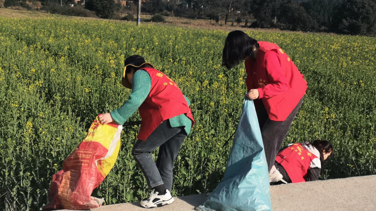 岭坡乡：青春力量献家乡 志愿服务别样红