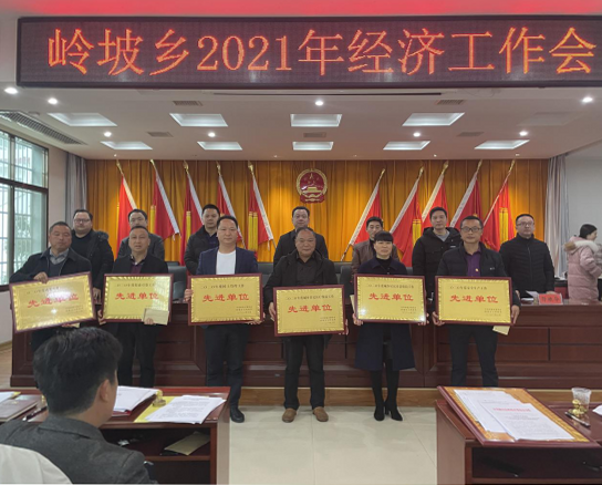 铆足干劲向前“犇” | 岭坡乡召开2021年度经济工作会