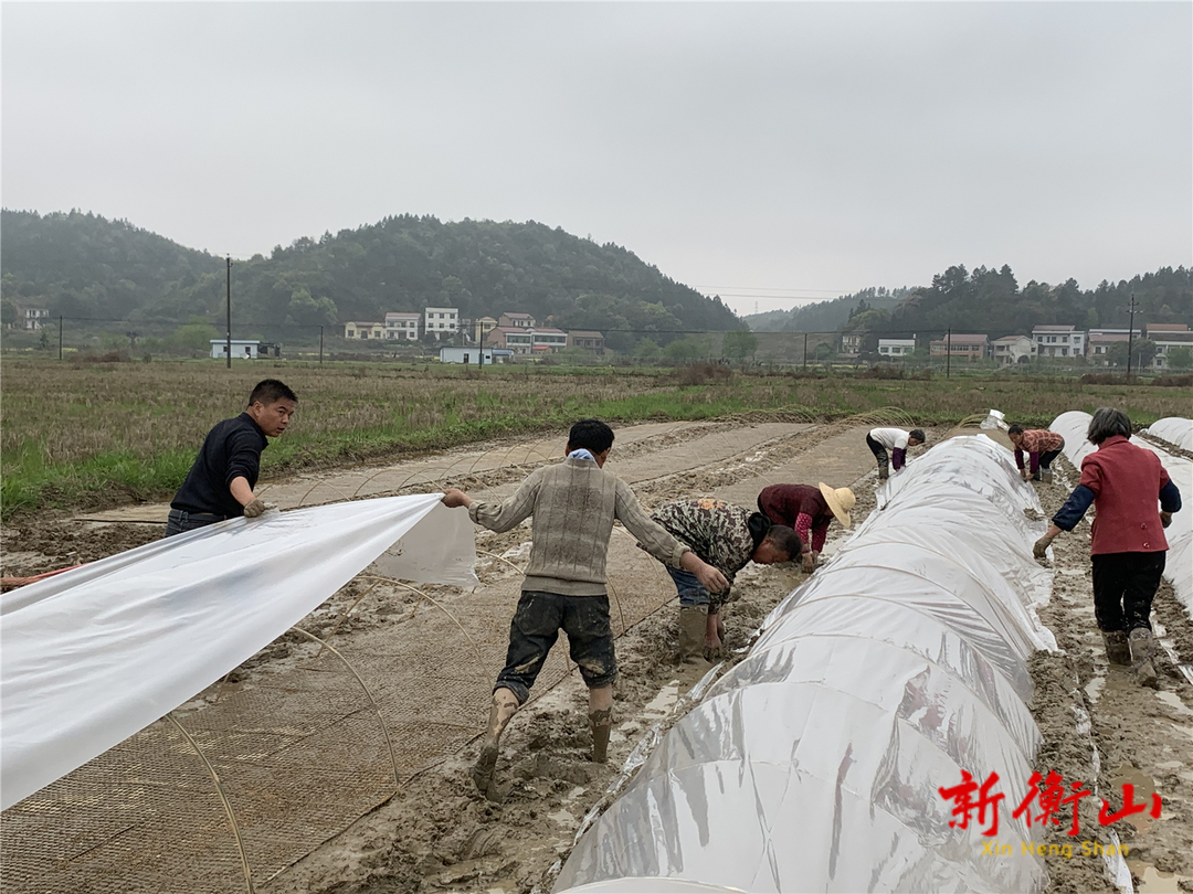 县农业农村局：积极助推早稻育秧工作