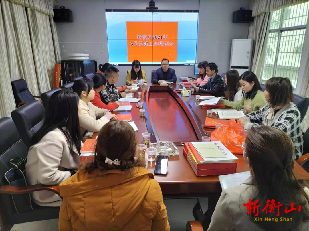 岭坡乡开展2021年一季度基层党建工作培训会