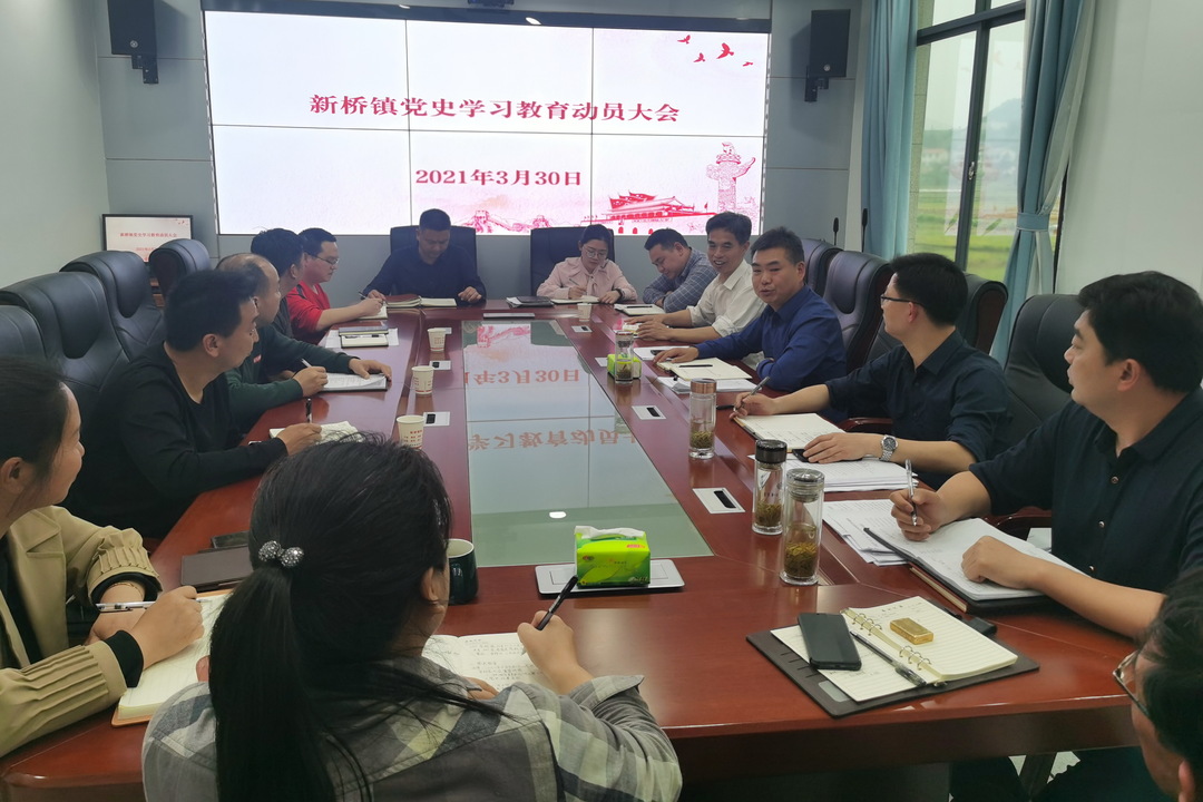 党史学习教育进行时|新桥镇：全面启动党史学习教育工作