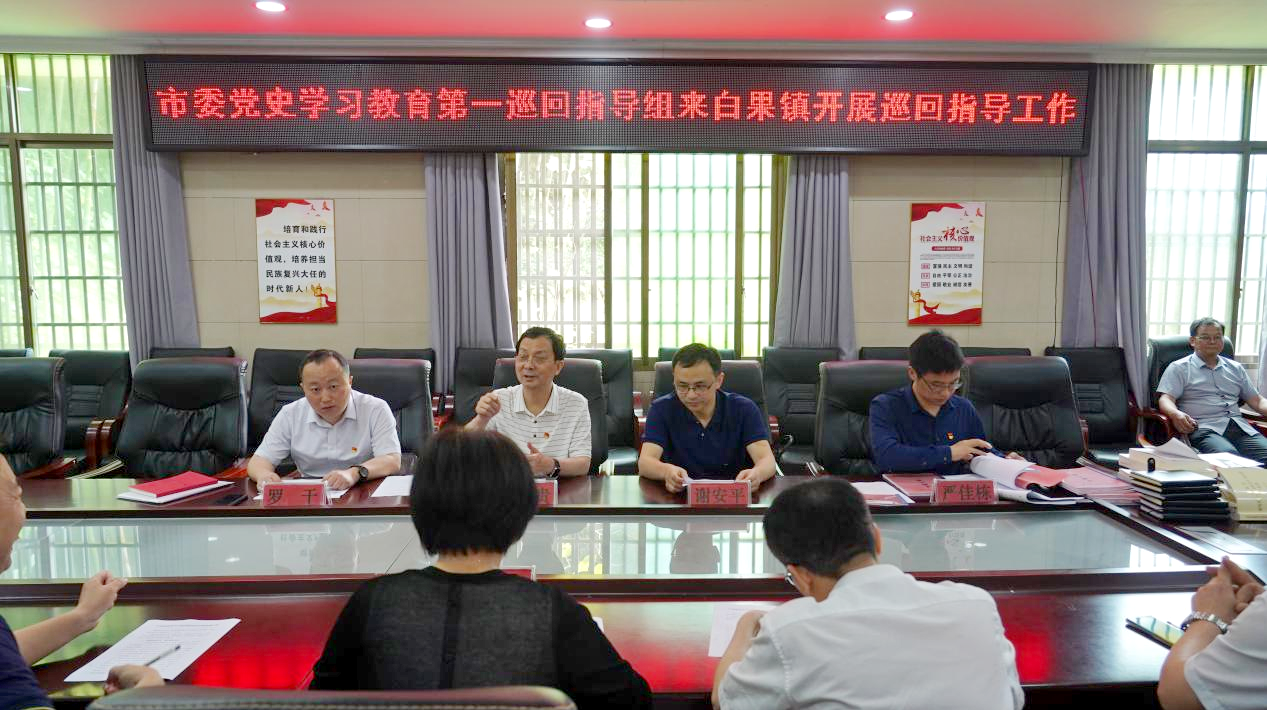 市委党史学习教育第一巡回指导组来我县开展第二轮巡回指导工作