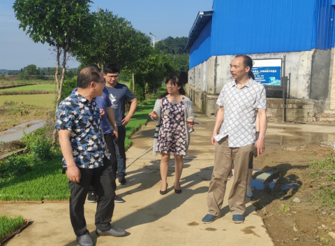 【我为群众办实事】县农业农村局：加快新型农业经营主体培育建设步伐