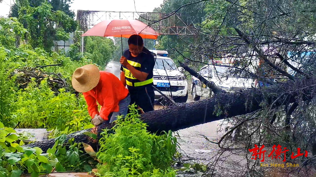 县公路建设养护中心：冒雨除险保畅通