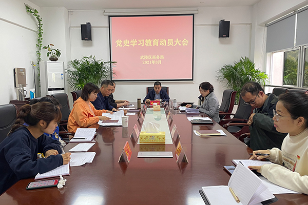 武陵区商务局召开党史学习教育动员大会