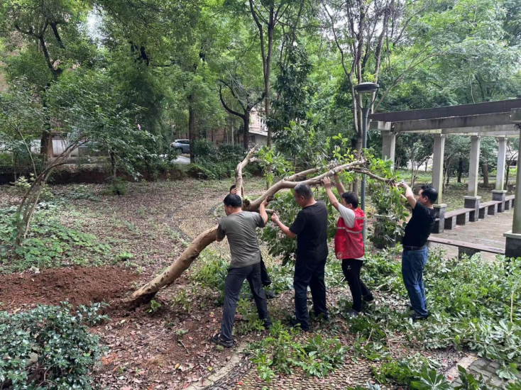 书院路街道：党建引领“接诉即办” 基层治理提质提效