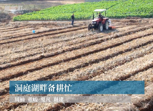 【新华社】洞庭湖畔备耕忙