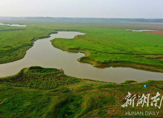【学习强国】青山绿水绕 三湘入画来——清明时节湖南生态文明建设见闻