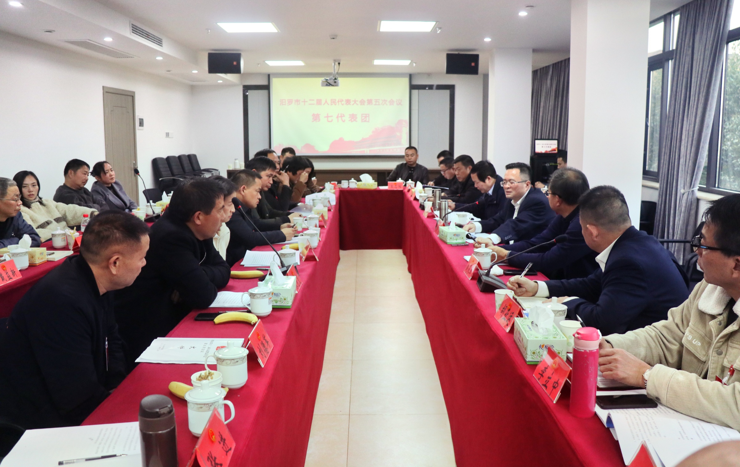喻文参加汨罗市十二届人大五次会议第七、第九代表团讨论