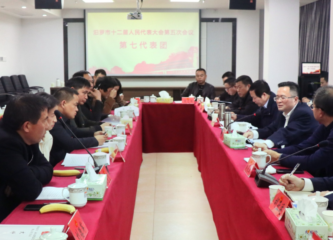 聚焦两会|人大代表分团讨论，为汨罗发展献“金点子”