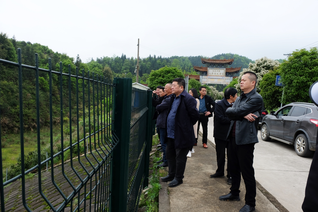 三江镇：生态优先助推乡村振兴，代表委员点赞家乡新变化