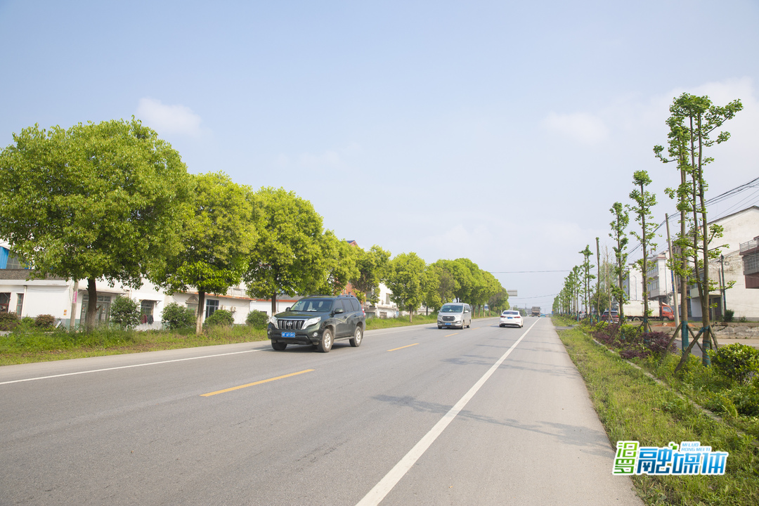 “生态廊道”显成效，新市深入推进107国道路域环境综合整治