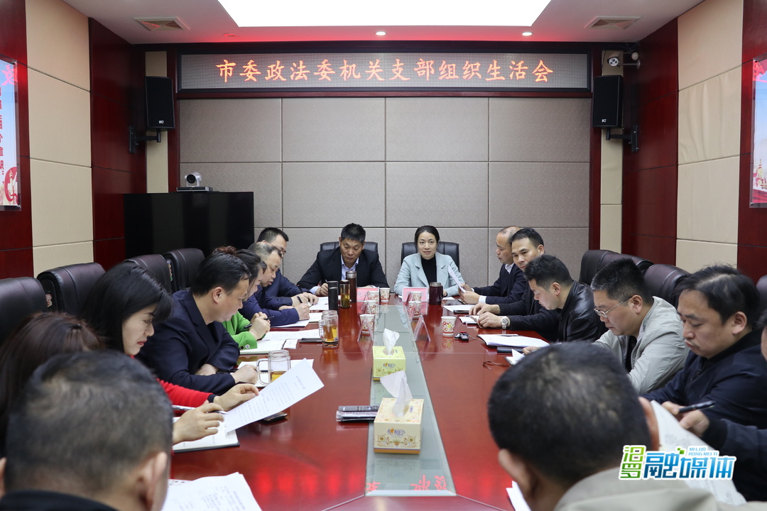 汨罗召开政法队伍教育整顿专题组织生活会