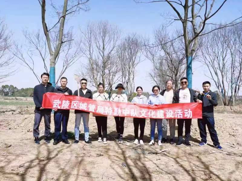 武陵区城管局特勤中队开展义务植树活动