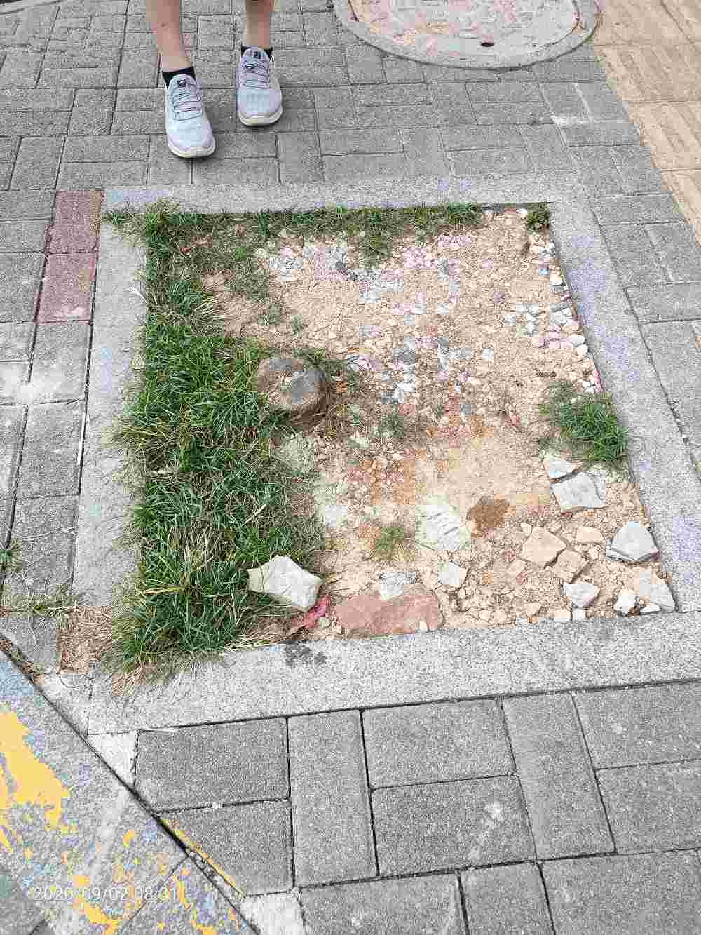 谭家垄路绿化损坏