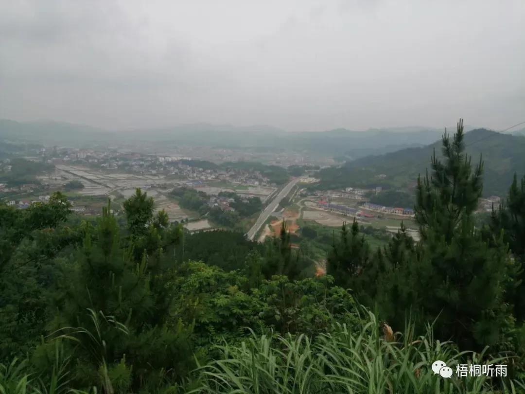 山路弯弯到岑川