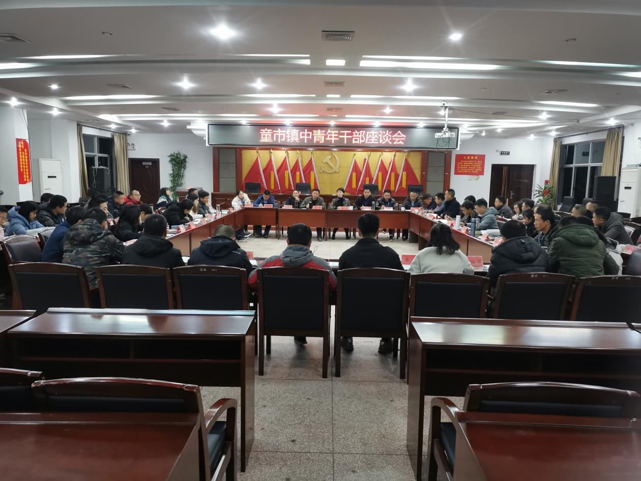 不负韶华 未来可期—童市镇举办中青年 干部座谈会