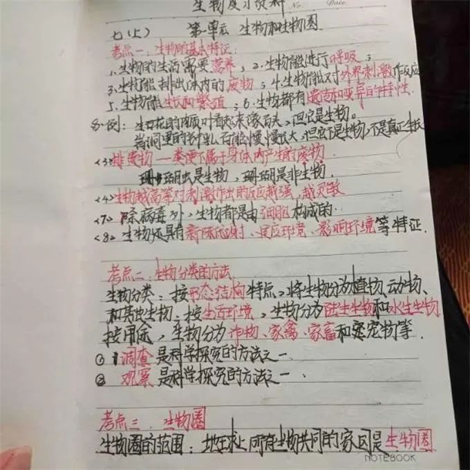 【战疫情】安定学区：47位老师陪伴800学生线上学习
