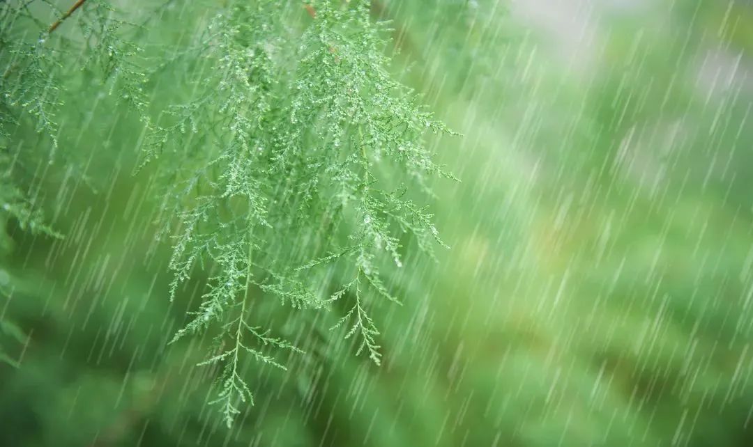 飞花令：上百句含“春”的经典诗词，赶紧为孩子收藏起来！