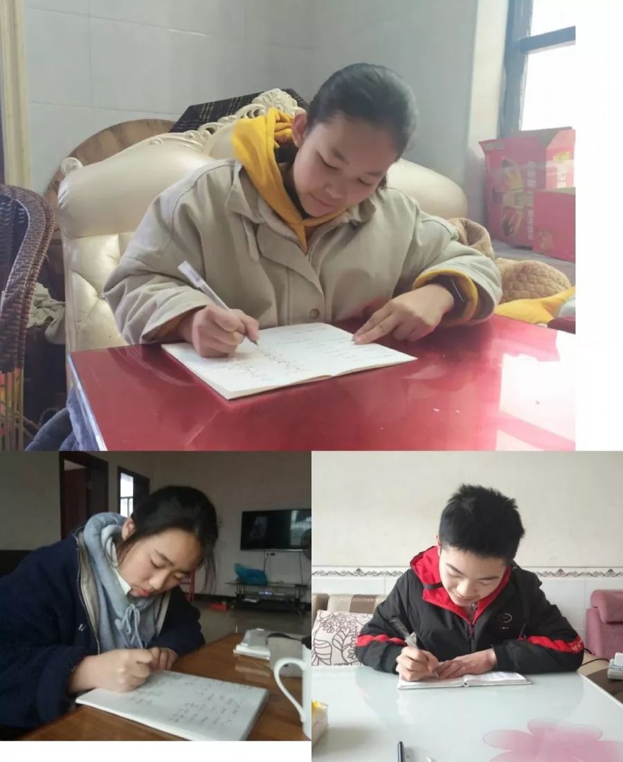 【战疫情】加义学区：停课不停学，微信打卡“约”