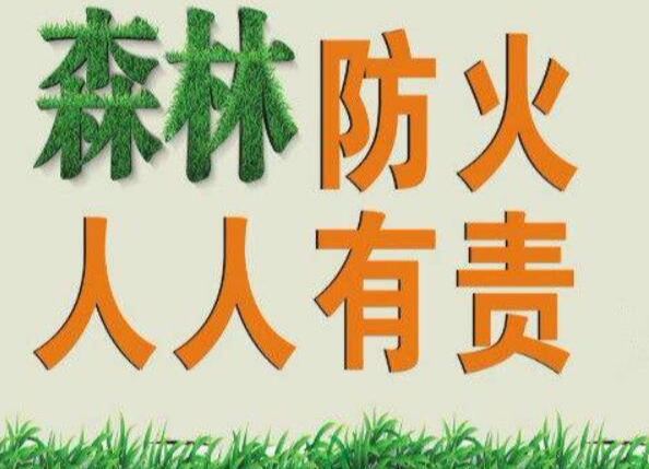 龙门镇：森林防火“十、九、八”