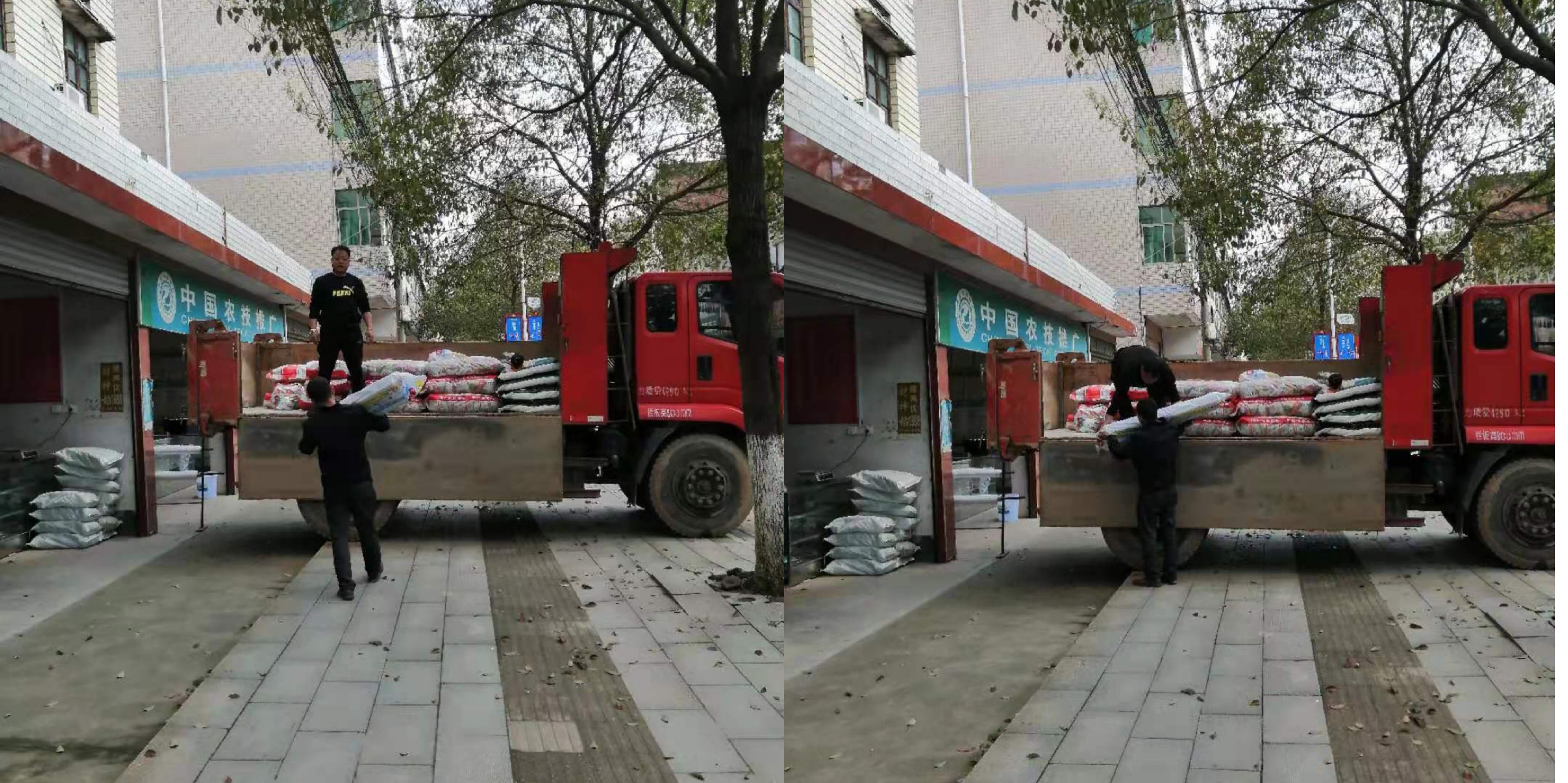 春耕春播在即 良种供应是关键