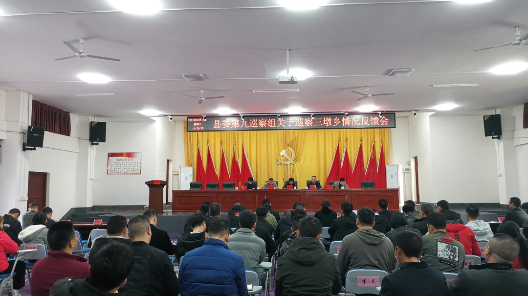 县委第九巡察组召开关于巡察三墩乡情况反馈会