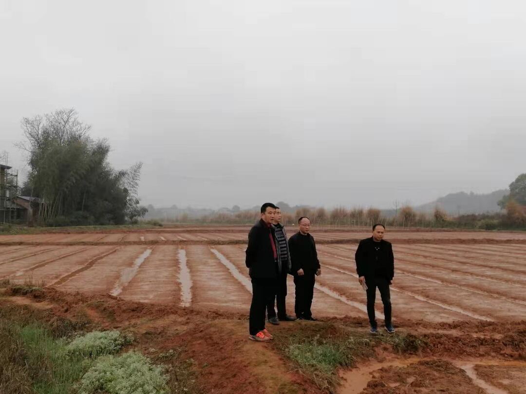 加义镇“四轮驱动”跑出粮食生产加速度