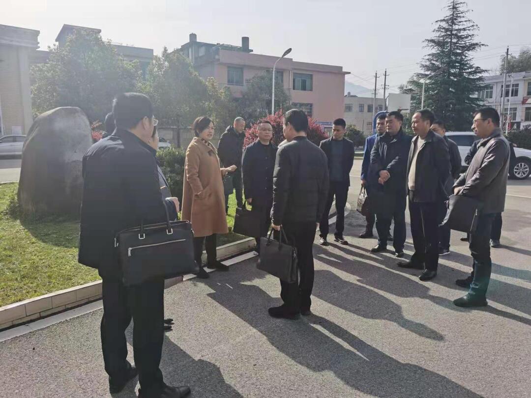 副县长潘如意到上塔市镇开展医防融合工作调研座谈