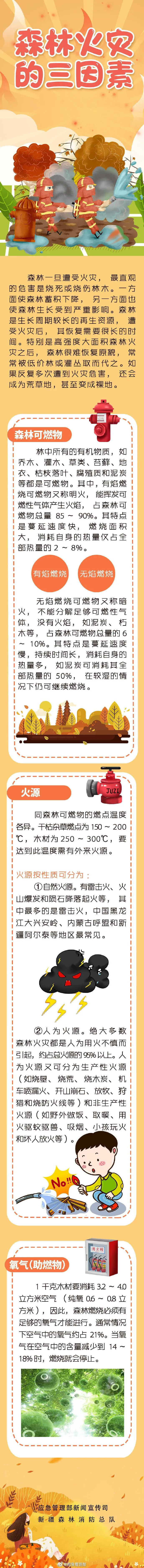 安全大讲堂丨森林火灾的三因素