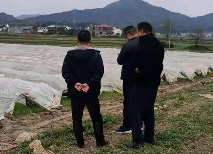 发展粮食生产，助推乡村振兴 ——岑川镇政协联络办专题调研早稻生产工作
